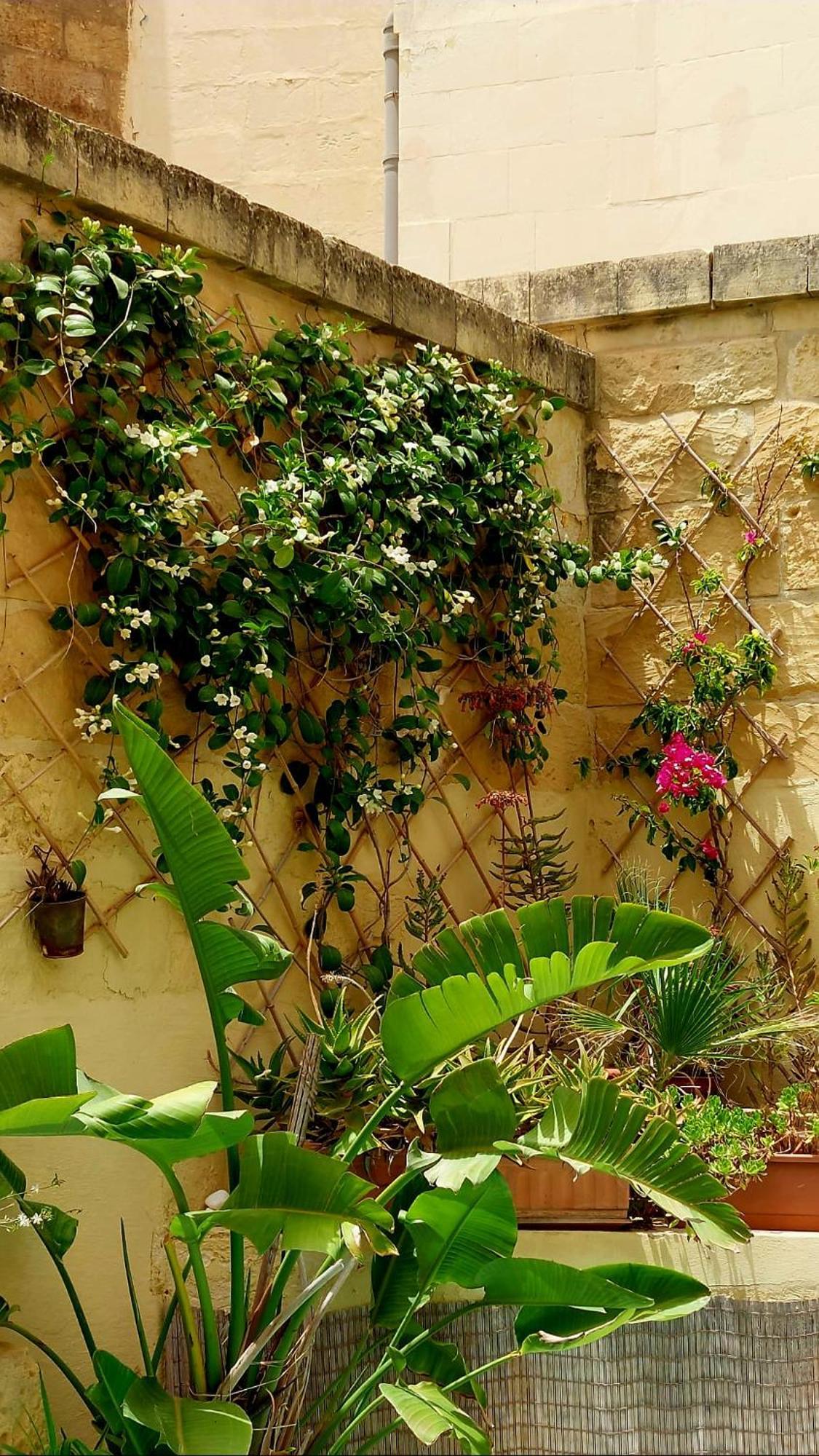 Ta' Didi B&B Kerċem エクステリア 写真