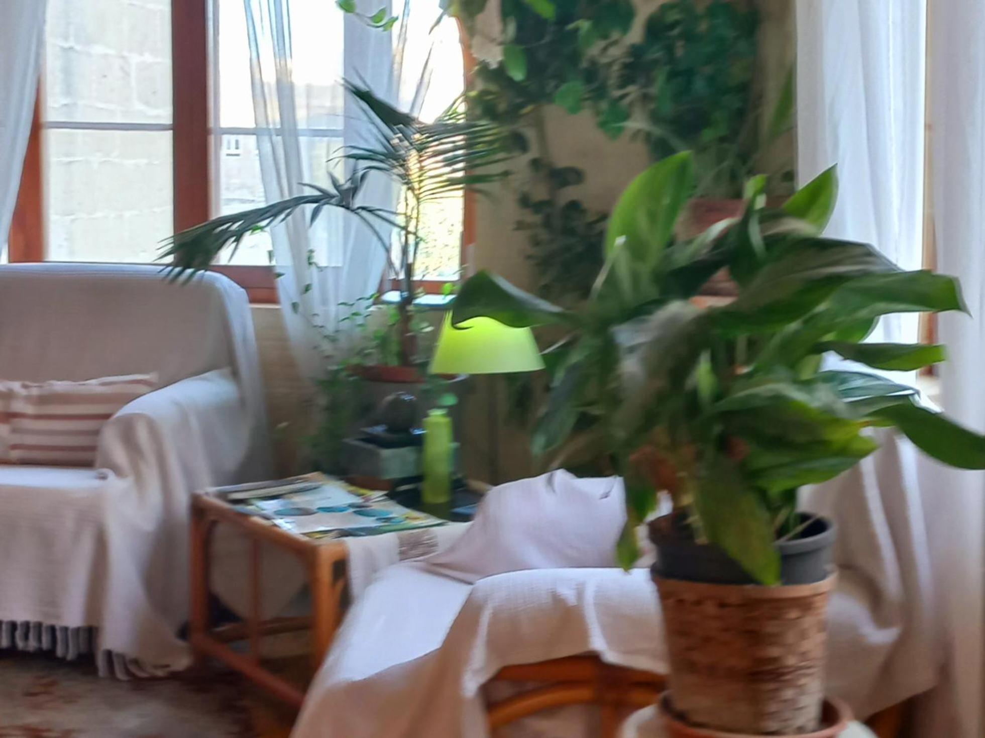 Ta' Didi B&B Kerċem エクステリア 写真