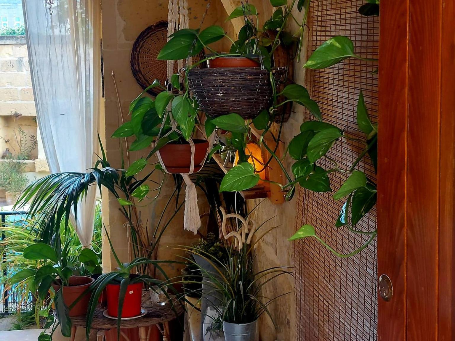 Ta' Didi B&B Kerċem エクステリア 写真